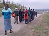 Pilgrims walking