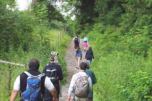 pilgrims on a trail