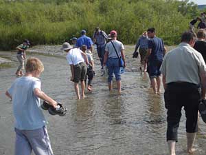 Pilgrims traverse creek