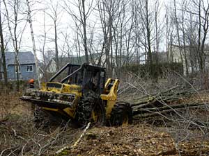 tractor clears trees