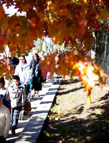 autumn leaves frame procession