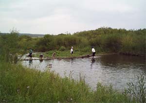 PIlgrims cross the Creek