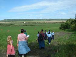 walking through the fields