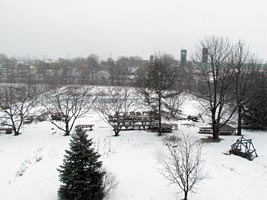 The Gardens in winter