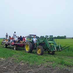 Hay ride