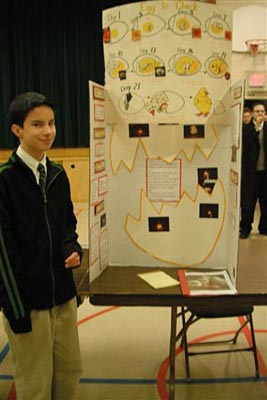 winning science fair project